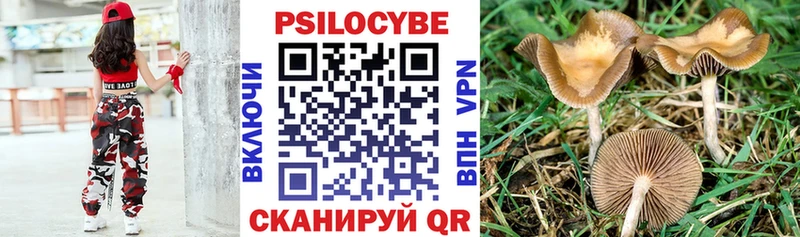 Галлюциногенные грибы Magic Shrooms  Купить  Череповец 